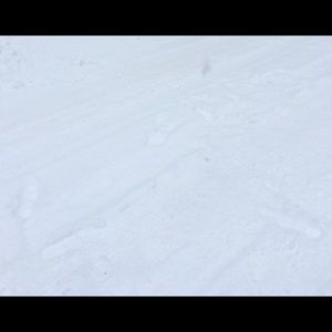 Meet your Posher, Ivan